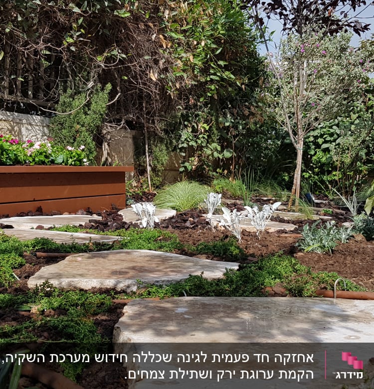 אבנים גדולות, צמחים ירוקים ופרחים באדנית בגינה